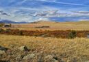 Design Workshop Foundation Selects Rocky Mountain Land Library in Buffalo Ranch