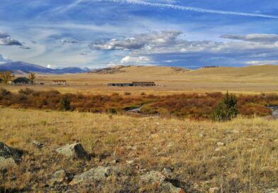 Design Workshop Foundation Selects Rocky Mountain Land Library in Buffalo Ranch