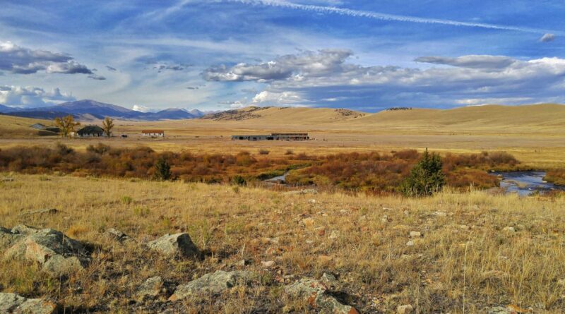 Design Workshop Foundation Selects Rocky Mountain Land Library in Buffalo Ranch